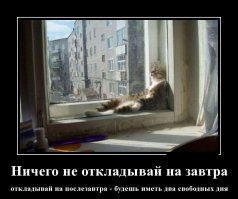 30 позитивных картинок, которые скрасят понедельник 