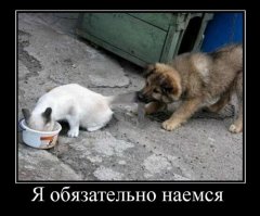 30 позитивных картинок, которые скрасят понедельник 