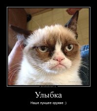 25 улыбающихся животных, которым хочется улыбнуться в ответ