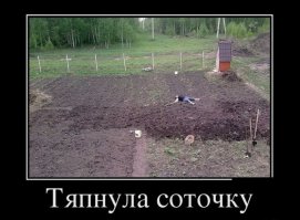 Дачник - это состояние души