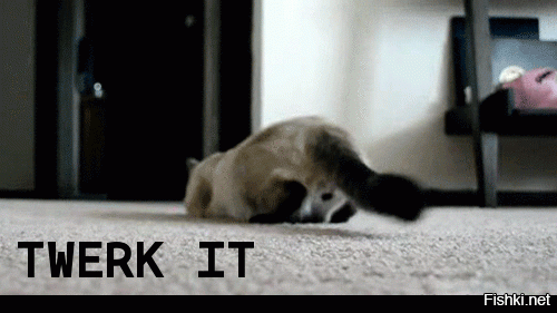 История танца "Тверк" или откуда ноги растут