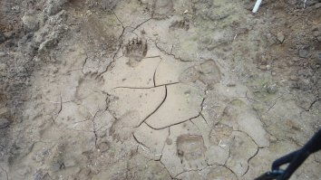 20 шикарных фотографий для тех, кто считает, что в России нет красивых мест