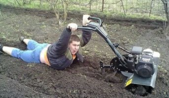 Он членом пашет?