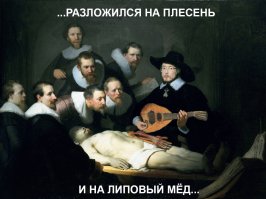 Егор Летов. 52