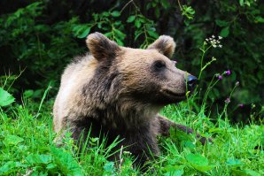 как все мило...
