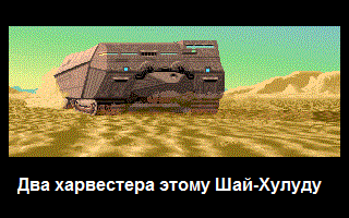 Хозяйка знакомит своего домашнего питомца с его новой игрушкой