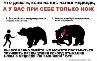 Когда медведь рядом