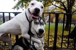 ай, молодца )))