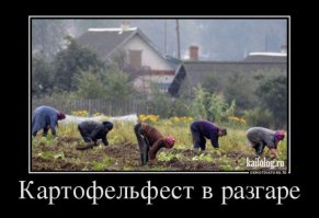 Дачник - это состояние души