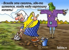 Дачник - это состояние души