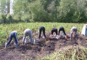 Дачник - это состояние души