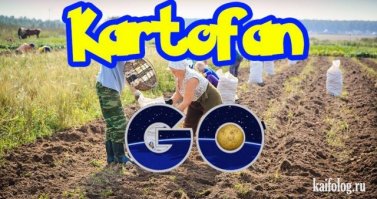 Дачник - это состояние души