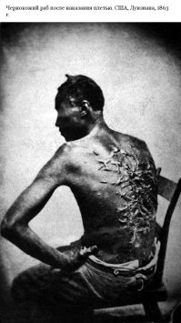 Кунсткамера