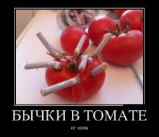 Порция демотиваторов