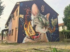 Сама красота!