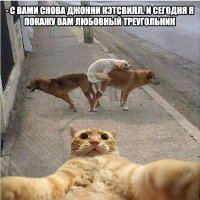 20 убойных селфи, которые могли быть сделаны только в России