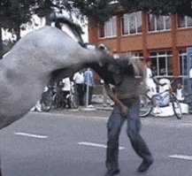 Бля, больно же, аж за бейцы схватился!