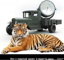 Недавно на фишках увидел нового кота. Предлагаю ввести его.