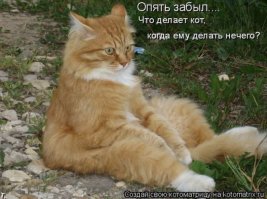 У кого-то слишком много свободного времени