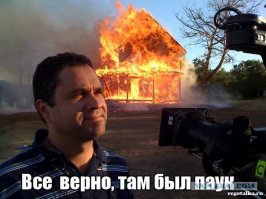 Мерзкие факты о пауках, о которых вам будет мерзко читать!