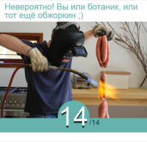 Вы узнаете обыкновенную еду? Под увеличением, конечно же (14 вопросов)