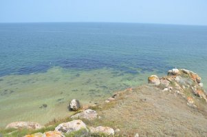 Крым изъездил вдоль и поперек, кроме тех мест, которые принципиально неинтересны (Саки, Евпатория). Не могу сказать, что больше некуда съездить, но в целом Крым знаю неплохо. В этом году, планируя поездку, начал искать что-либо новое. Нашел интересное место - Генеральские Пляжи. Подробно писать не буду, все прекрасно яндексится, но пару фото выложу. Место необычайной красоты. Птицы, дельфины, змеи, мыши... Красота!!! В августе еще и падающие звезды..