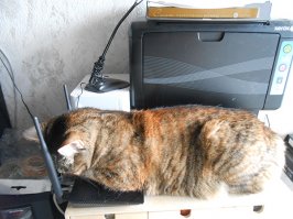 Моя нашла себе замену батарее отопления на летний сезон — роутер.