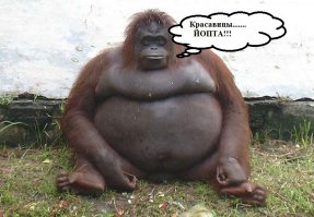 Вооруженная красота из джунглей