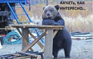 Жительница Беларуси о работе в Германии