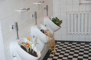 Они отделали стену дома странными панелями, но когда прошел дождь...