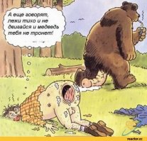 Когда медведь рядом