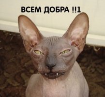 15 самых странных штук, выброшенных морем на берег