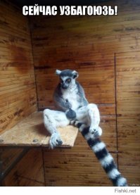  Ох уж эти девушки в леггинсах