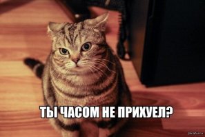 Я всего лишь забыл покормить кота!