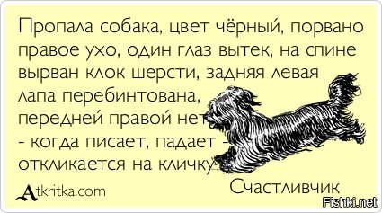 "Сейчас вся семья Иджзендоорнов активно занимается лечением нового питомца, которому дали кличку Фос, что с греческого означает "сияющий"

Напомнило: