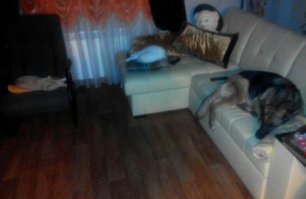 Мой кошак тоже любитель поспать на тверденьком. Недавно на электрической мухобойке уснул. Порывался я нажать на кнопочку, но жалко, хороший котик.