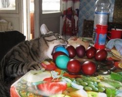 блестят...))