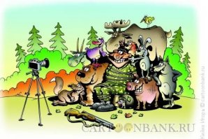Анекдоты про охоту 