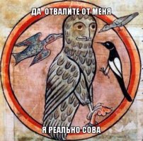 Как в средневековой Европе изображали животных, которых никогда не видели