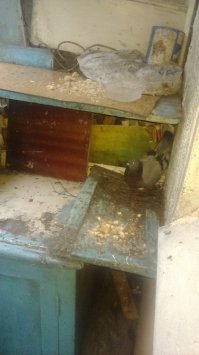 А это голубь высиживает яйцо. теперь ты точно видел все.