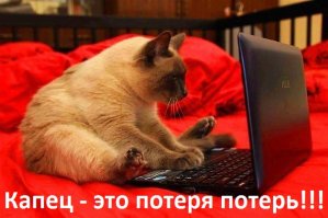 В России заблокировали популярные ресурсы для взрослых