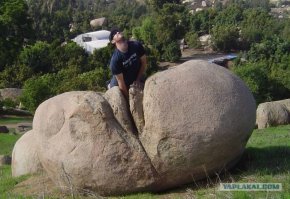  Ужасы и приколы из соцсетей