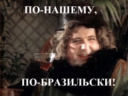 Уничтожение гнезда ос по-бразильски