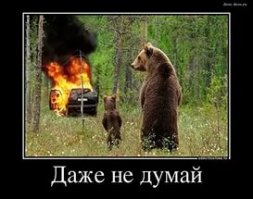 Как медведь еду искал