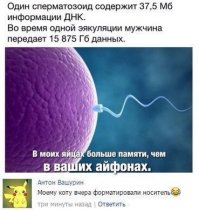 Веселые и смешные комеенты из социальных сетей