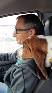 Преданностью собак, как дружбой людей, необходимо дорожить. Ведь дружба и преданность – бесценный дар, который дается только раз, и эти отношения строятся на доверии и любви. Собаки – животные, которые тонко чувствуют связь с хозяином. В поведении четвероного питомца прослеживаются черты его владельца. Независимо от характера человека собака была и остается самым преданным существом.