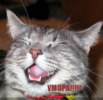 Когда саунд дизайнера попросили озвучить симфонический оркестр