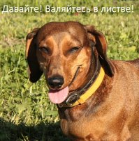 Вот почему осенью лучше уезжать из России