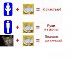 Очередное различие между мужчинами и женщинами