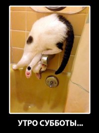 Клуб анонимных алкоголиков